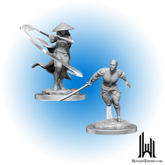 DND UNPAINTED MINI - KAITO SHIZUKI/WANDERER